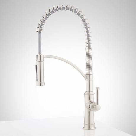Beasley Kitchen Faucet with Pull-Down Spring Spout