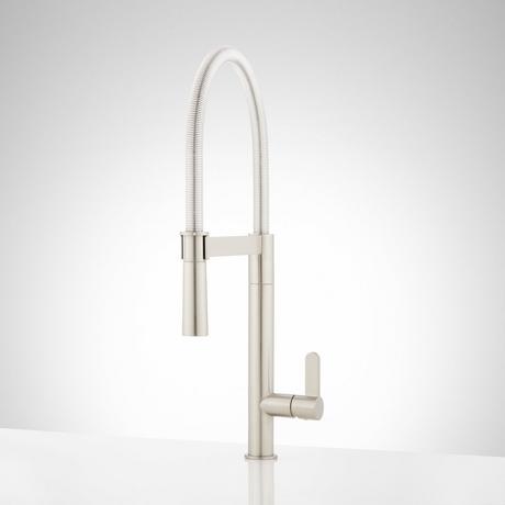 Ocala Single-Hole Kitchen Faucet with Pull-Down Spring Spout