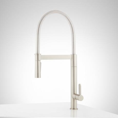 Ocala Single-Hole Kitchen Faucet with Pull-Down Spring Spout
