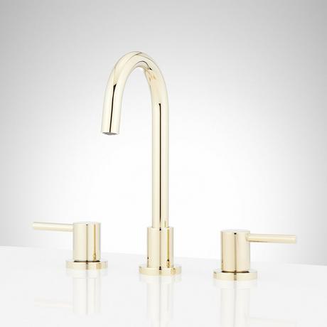 Lexia Widespread Gooseneck Bathroom Faucet