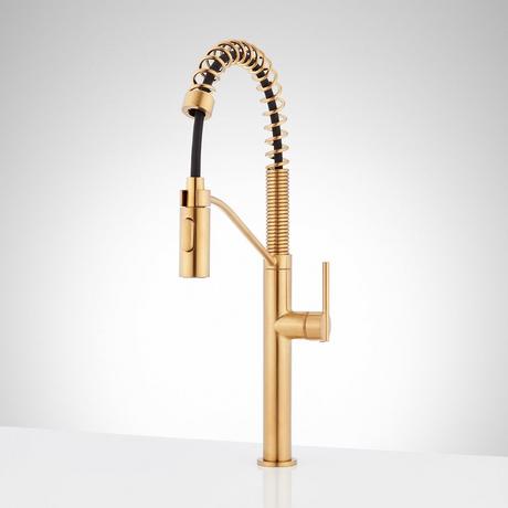 Eiler Single-Hole Kitchen Faucet with Pull-Down Spring Spout
