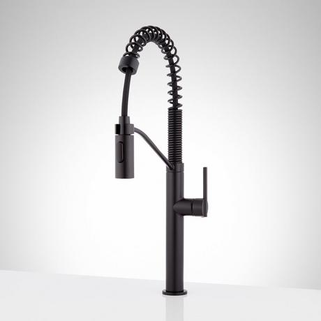 Eiler Single-Hole Kitchen Faucet with Pull-Down Spring Spout