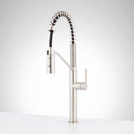 Eiler Single-Hole Kitchen Faucet with Pull-Down Spring Spout